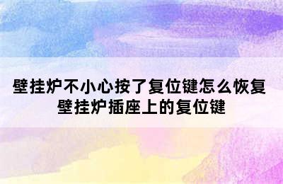 壁挂炉不小心按了复位键怎么恢复 壁挂炉插座上的复位键